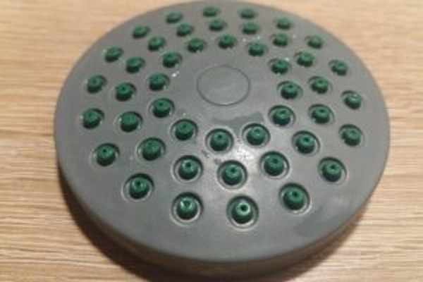 nuotrauka