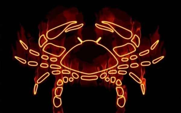 nuotrauka