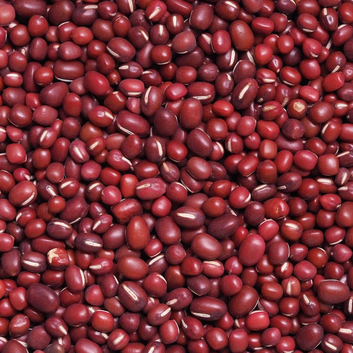 Adzuki Beans