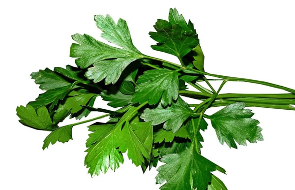 nuotrauka