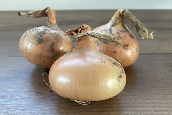 nuotrauka