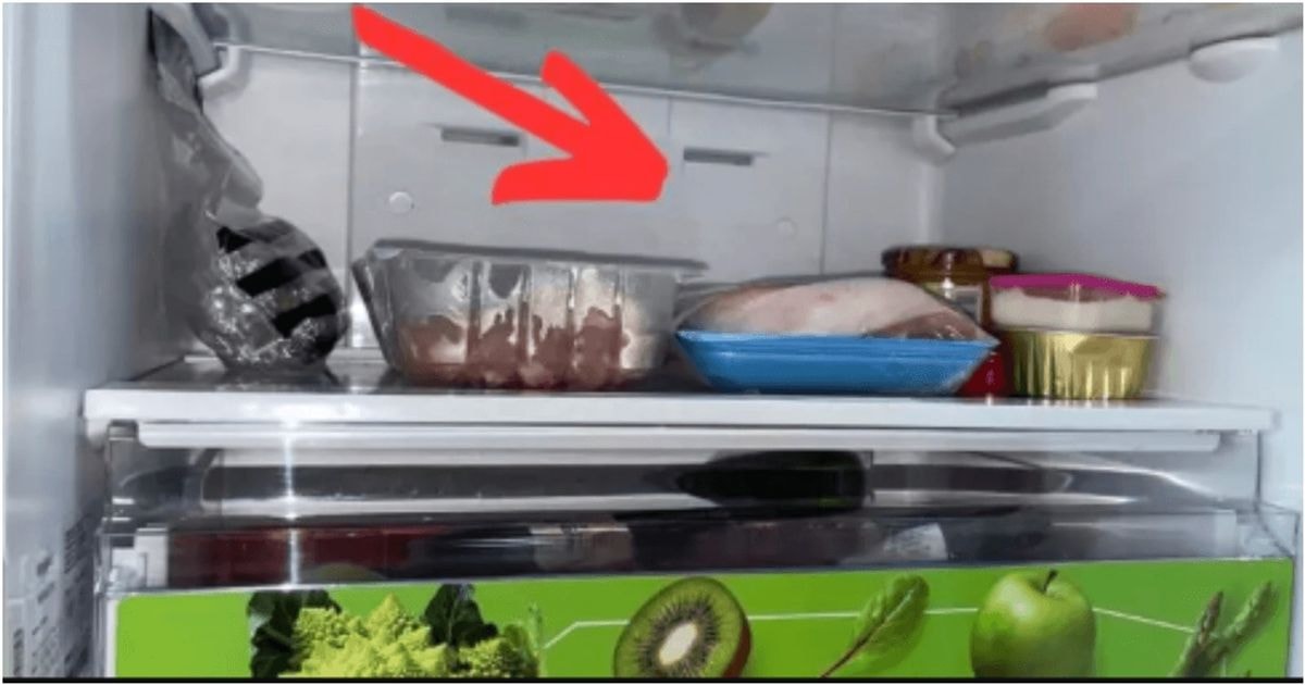 Šaldytuve nuolat kaupiasi vanduo