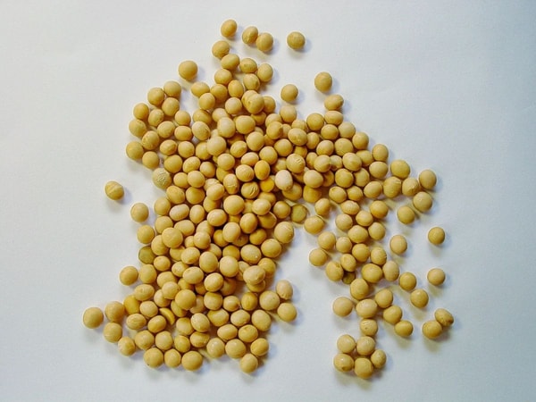 dried soybeans