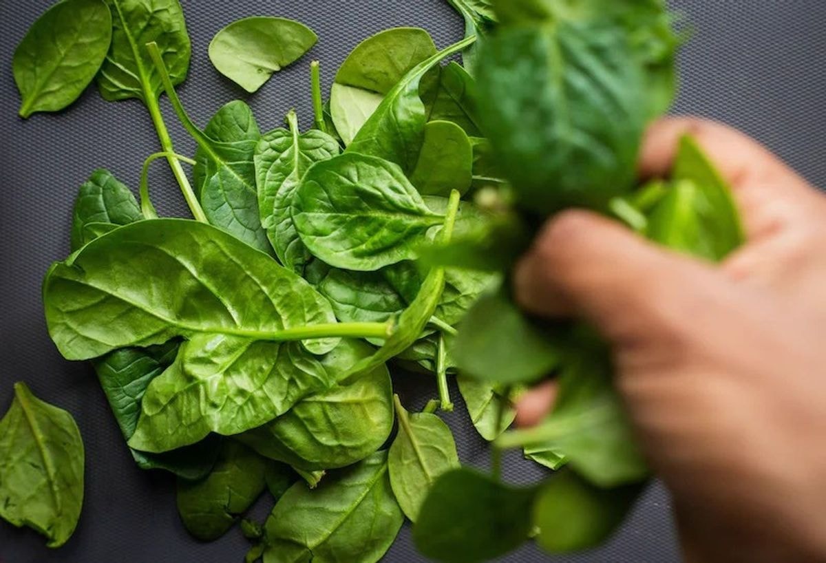 Fresh Spinach