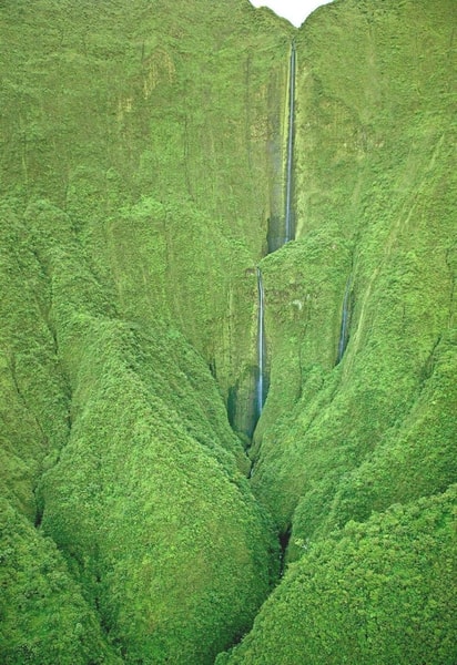 nuotrauka