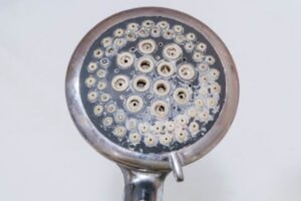 nuotrauka