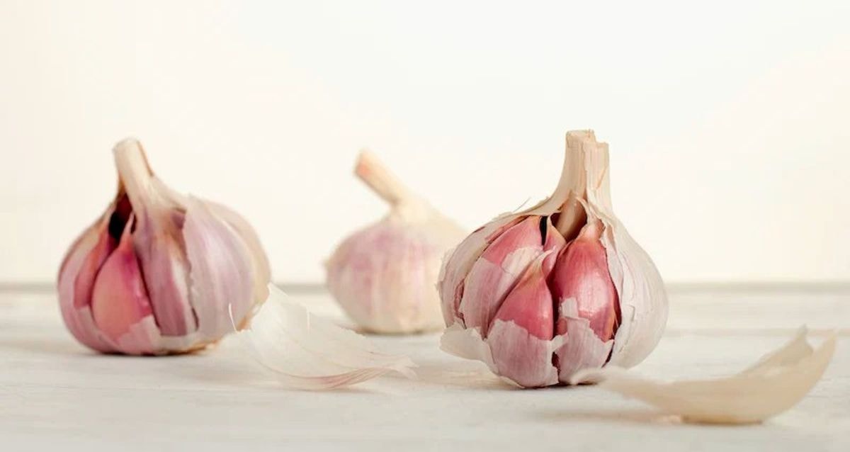 Peeled Garlic