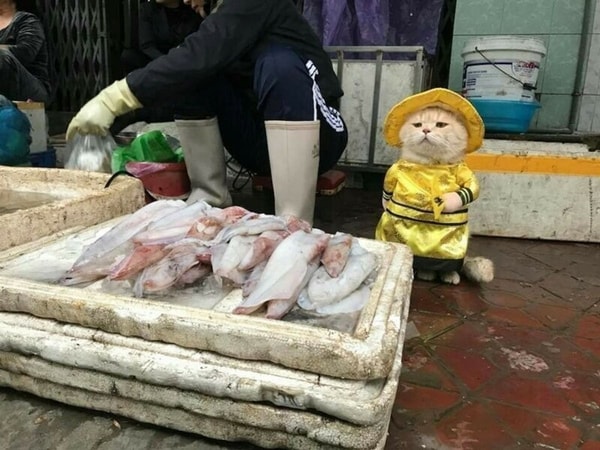 nuotrauka