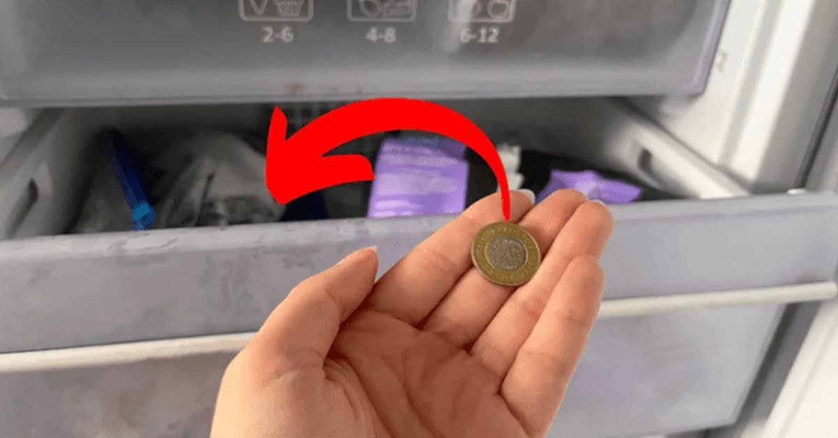 Prieš išvykdami atostogų įdėkite monetą į šaldiklį