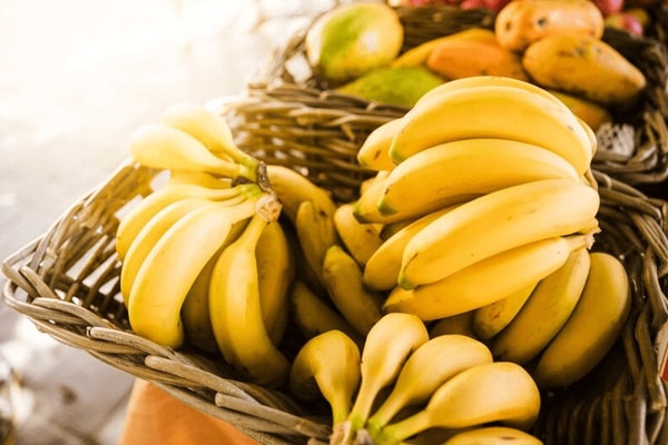 bananus