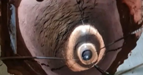 nuotrauka