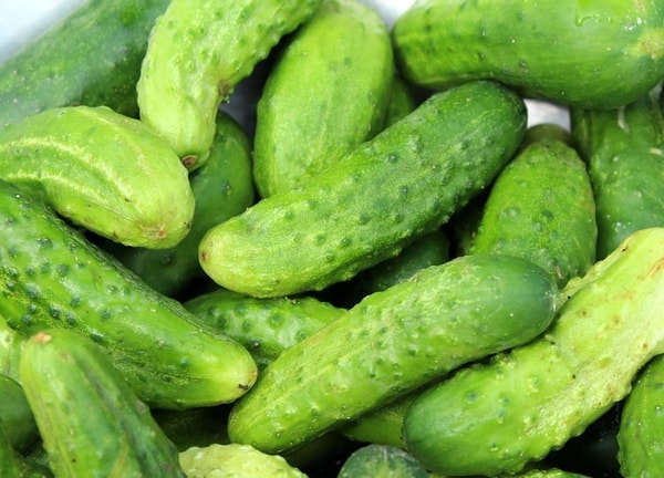nuotrauka