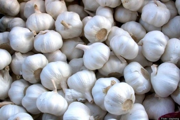 nuotrauka