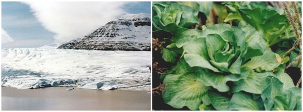 nuotrauka