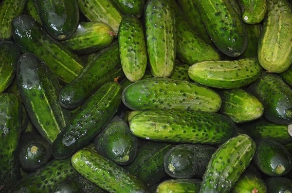 nuotrauka
