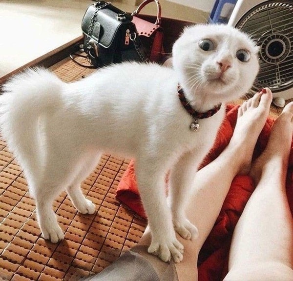 nuotrauka