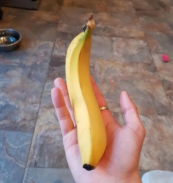 nuotrauka