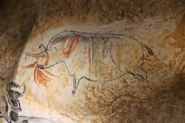 nuotrauka
