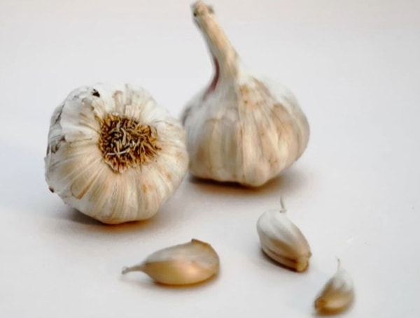 natural garlic