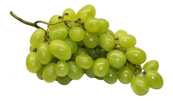 nuotrauka