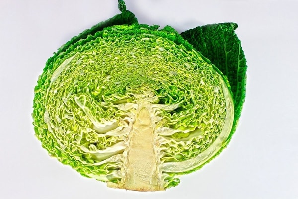 nuotrauka