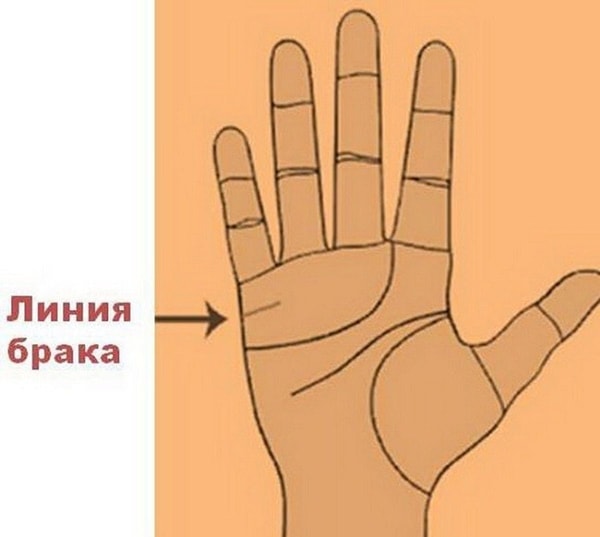 nuotrauka
