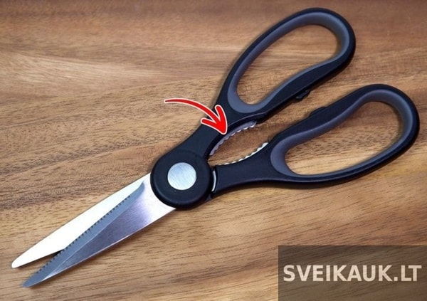 nuotrauka