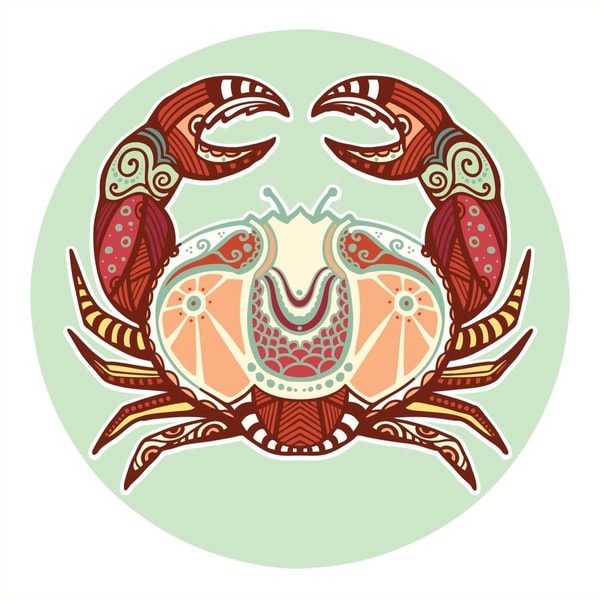 nuotrauka