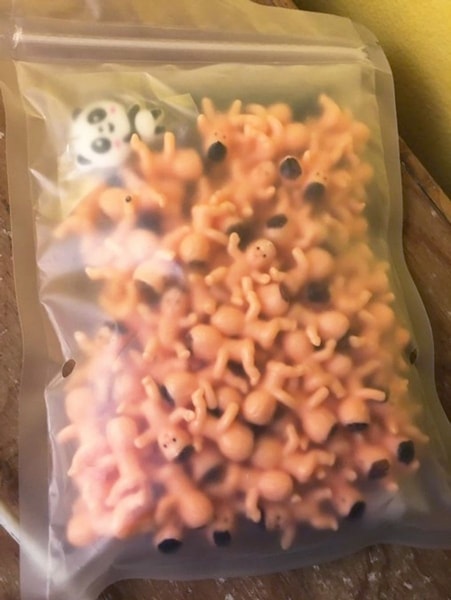 nuotrauka