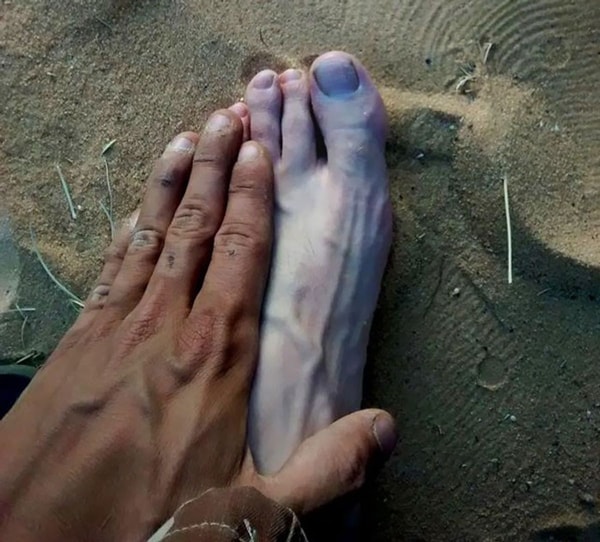 nuotrauka