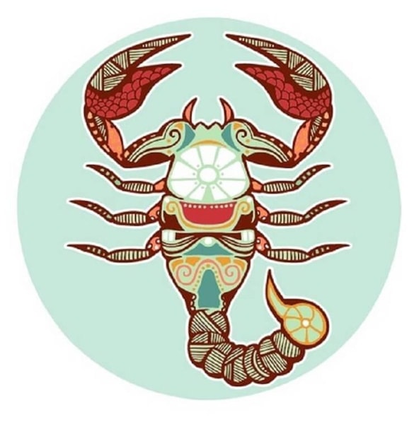 nuotrauka
