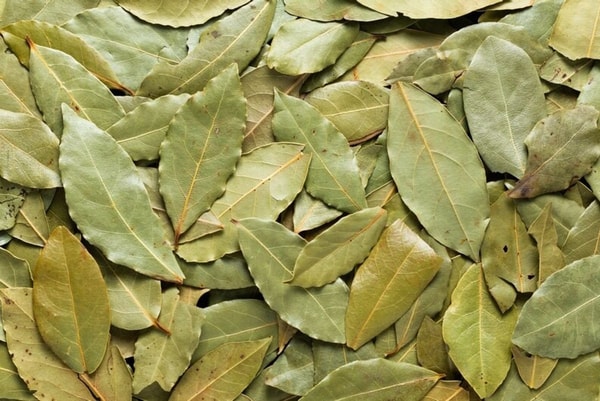 nuotrauka