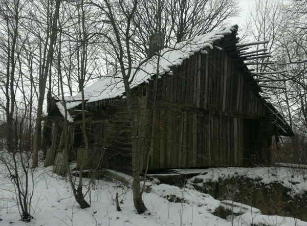nuotrauka