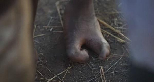 nuotrauka