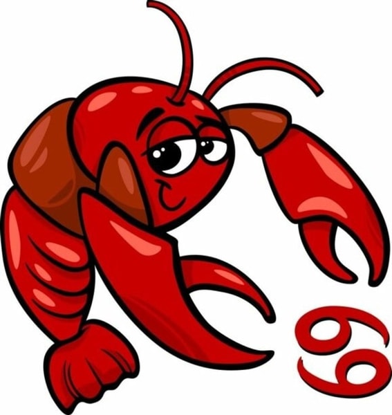 nuotrauka