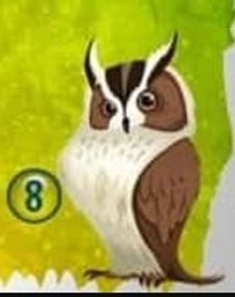 nuotrauka