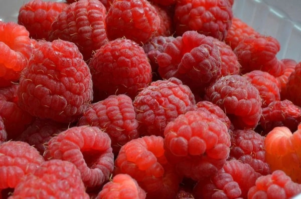 raspberries