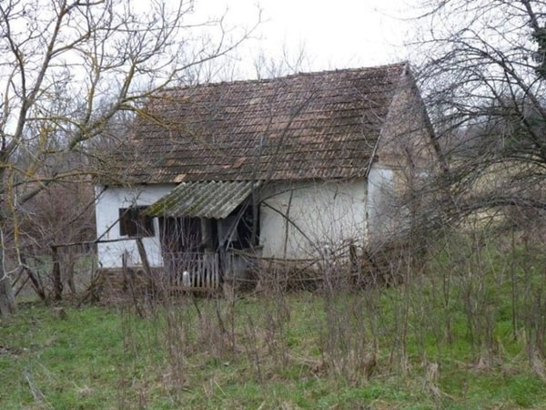 nuotrauka