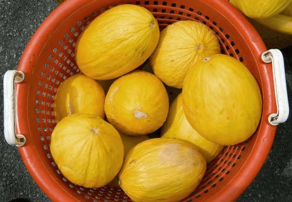 nuotrauka