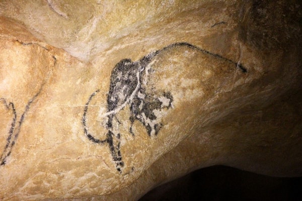 nuotrauka
