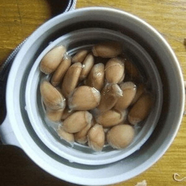 nuotrauka