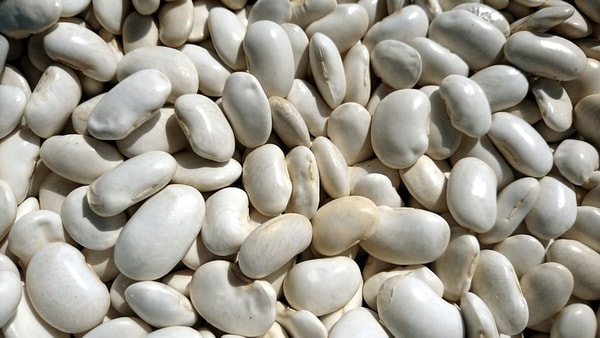 Virtas pupeles