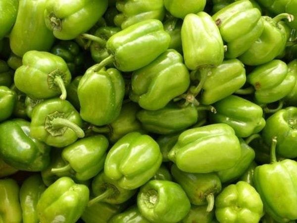 nuotrauka
