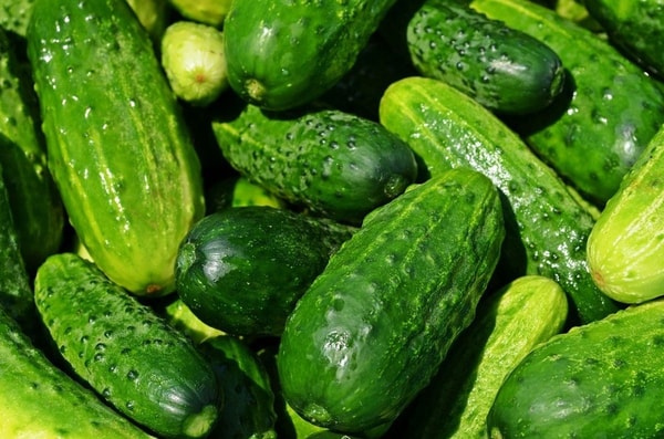 nuotrauka