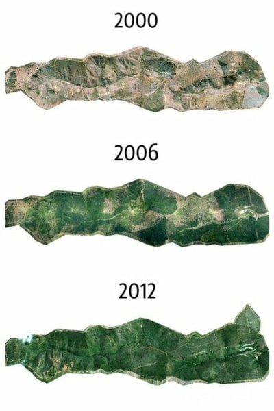nuotrauka