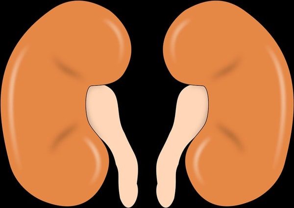 nuotrauka