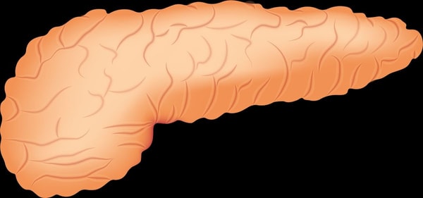 nuotrauka