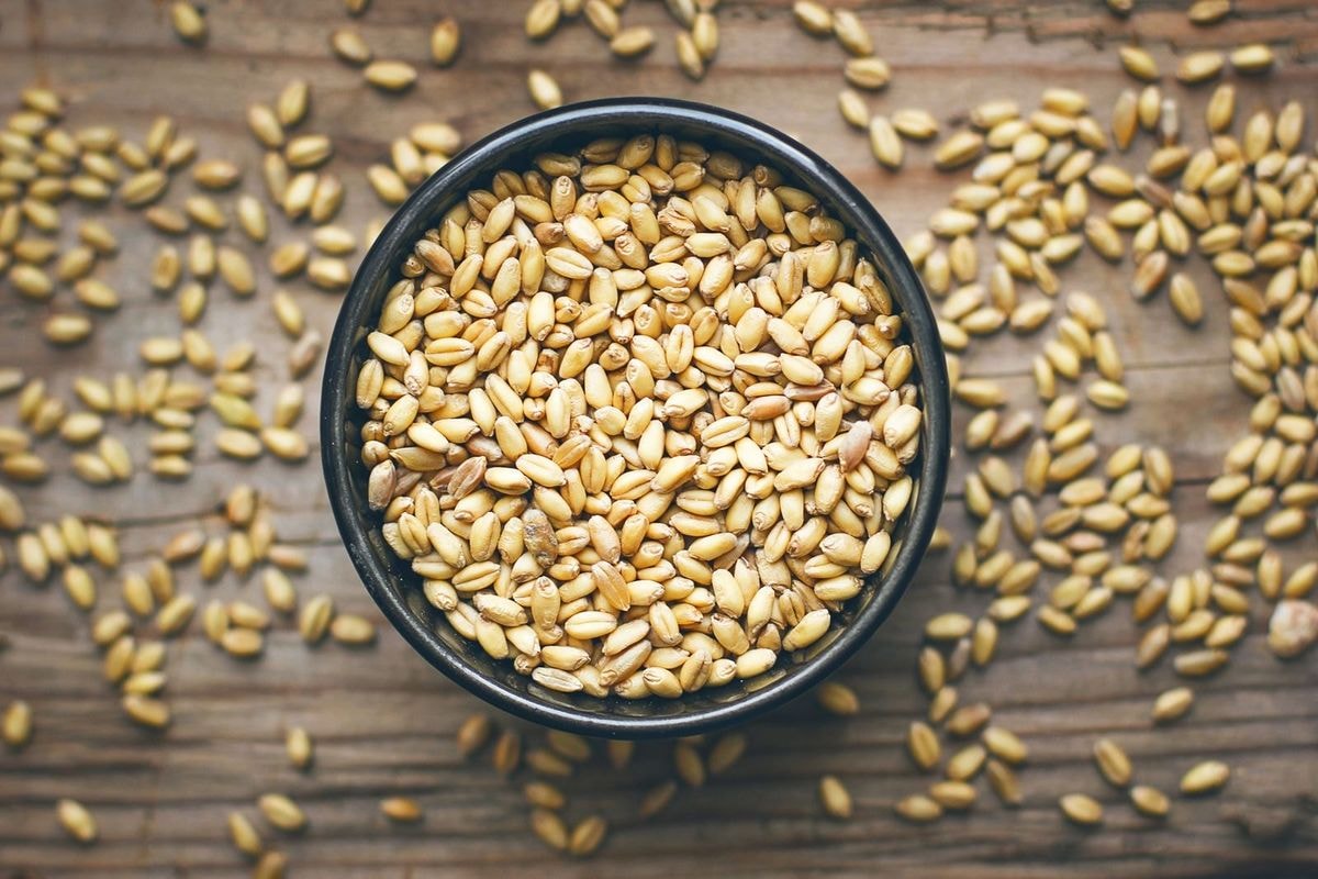 Bowl Of Barley