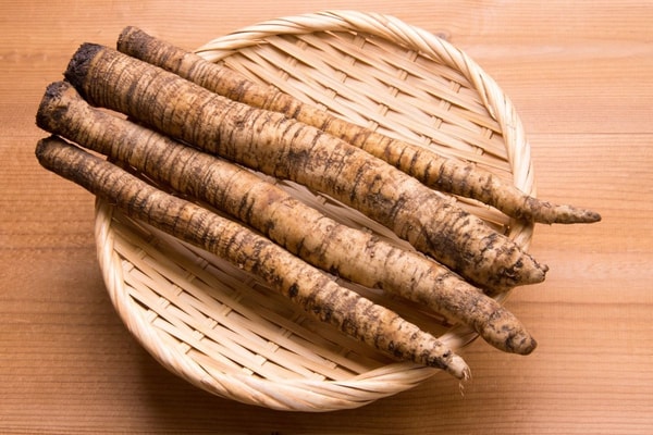 Varnalėšų šaknų