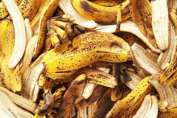nuotrauka